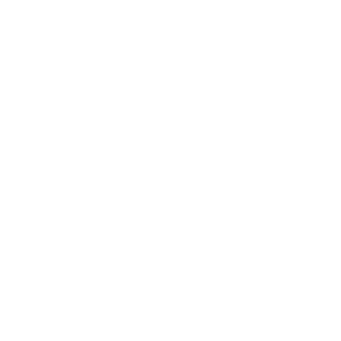 Pareto Codex